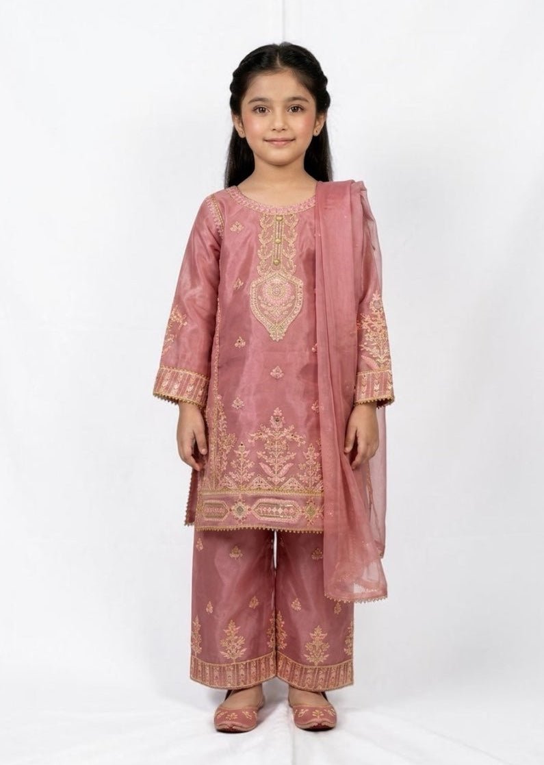 KASHMIR | ORGANZA - Gul - Kari Kids